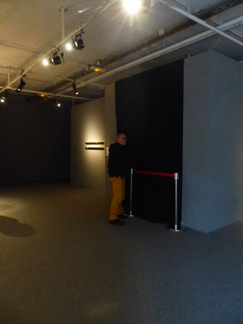 Visite commentée de l'exposition « Entropies » par les curateurs Marie Koch et Vladimir Demoule